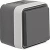 Prise 2P+T avec clapet Berker 47403515 W.1 apparent gris, gris clair
