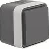 Prise 2P+T avec clapet Berker 47633505 W.1 apparent gris, gris clair