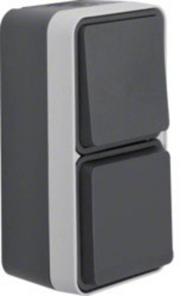 Interrupteur et prise Berker 47803515 W.1 apparent gris, gris clair