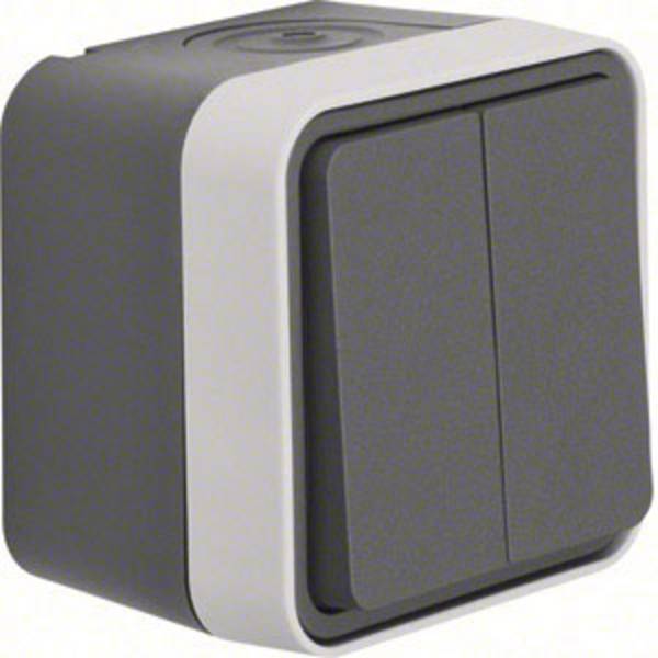 Bouton-poussoir pour gamme Berker 50753515 W.1 apparent gris, gris clair