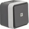 Bouton-poussoir Berker 50763505 W.1 apparent gris, gris clair