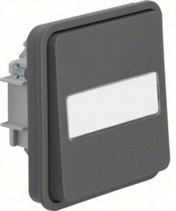 Bouton-poussoir Berker 50763555 W.1 apparent gris, gris clair