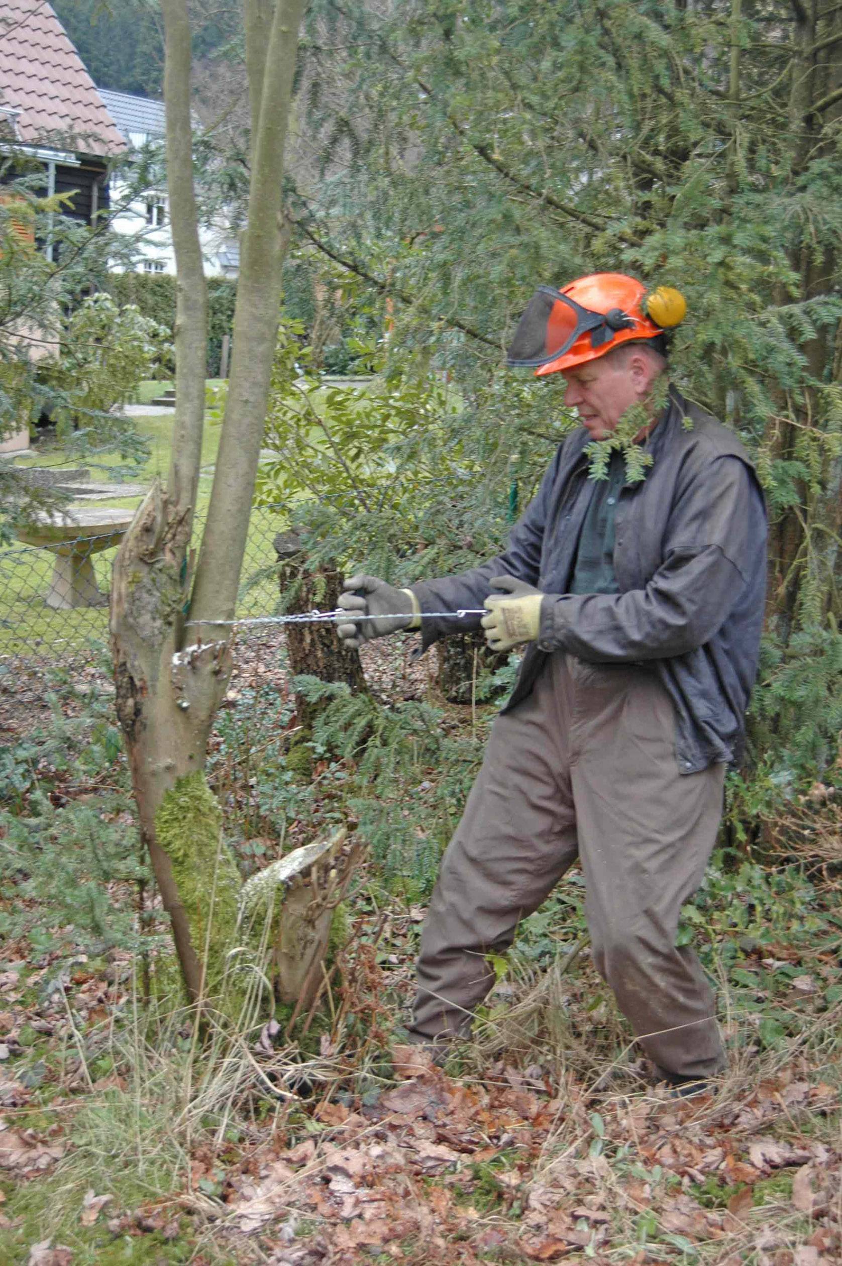 Une personne en tenue de protection utilise une tronçonneuse pour élaguer un arbre dans un jardin. En arrière-plan, d'autres arbres et une maison sont visibles.