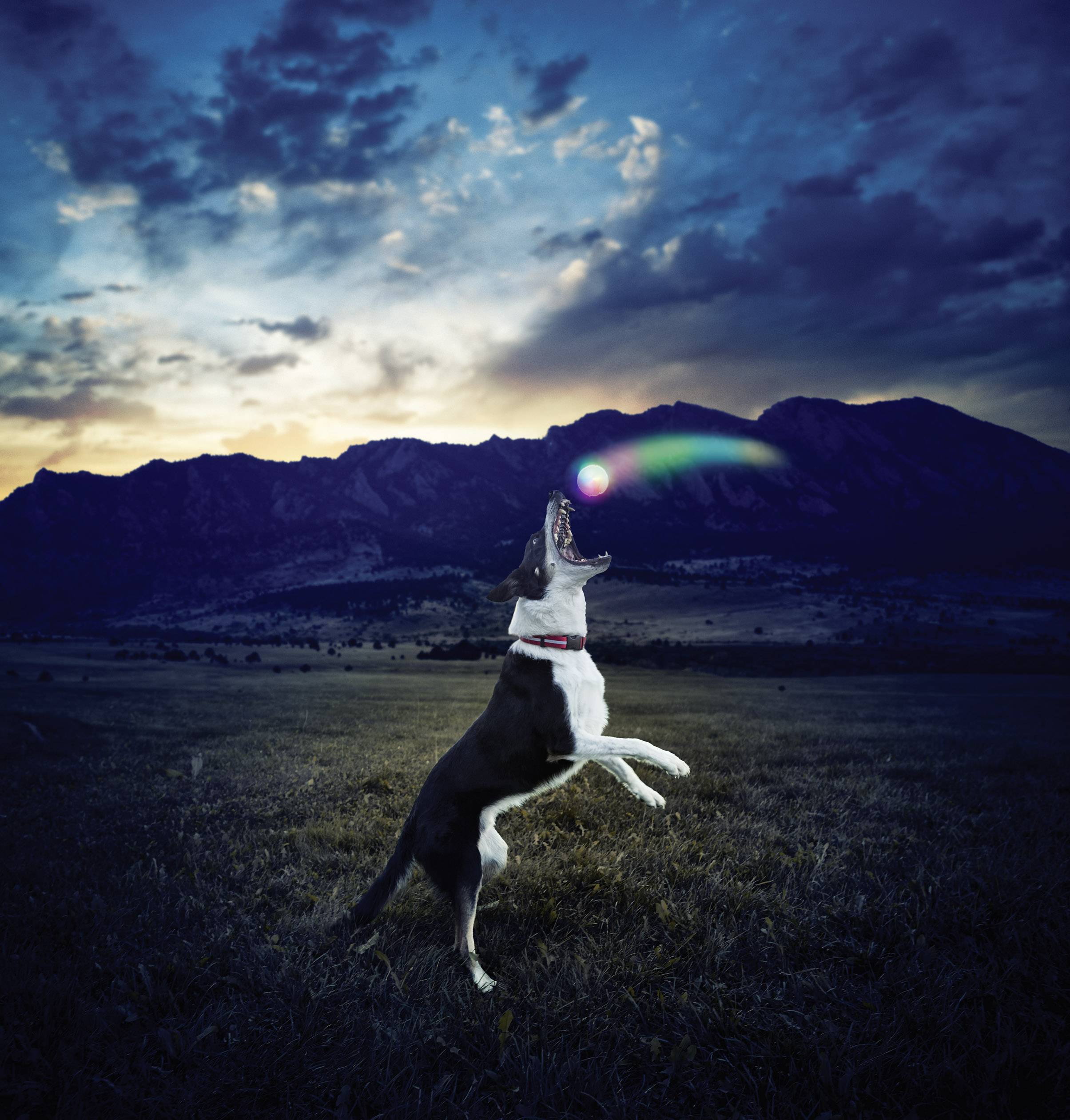 Balle LED Glowstreak, change de couleur-2