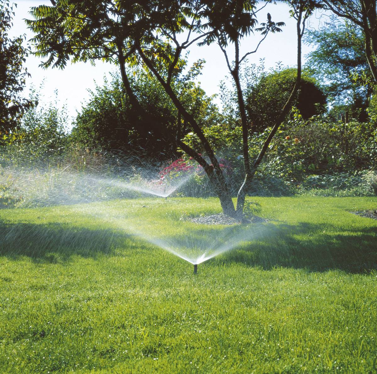 Arroseur escamotable GARDENA système Sprinkler 01569-29 18,7 mm (1/2") (filet int.)-1