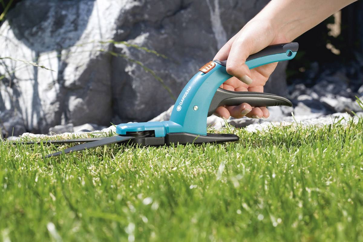 Une main utilise des cisailles bleues pour couper l'herbe près du sol. Des pierres et de l'herbe sont visibles en arrière-plan.