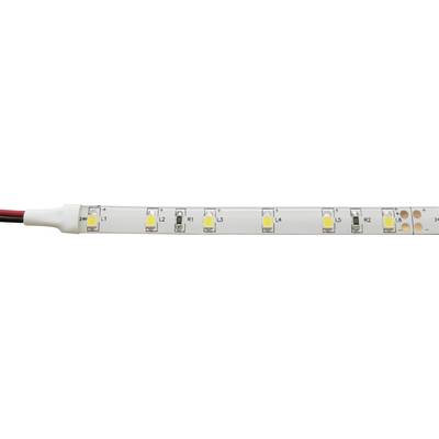 Barthelme 51513215 51513215 Ruban LED  avec câble à extrémités ouvertes 12 V 5 m blanc lumière du jour 