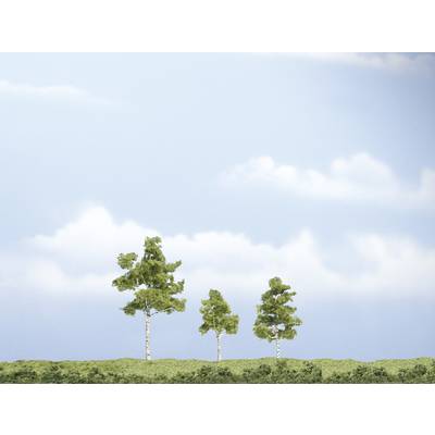 Assortiment d'arbres bouleau Woodland Scenics WTR1605 40 à 75 mm vert moyen 3 pc(s)
