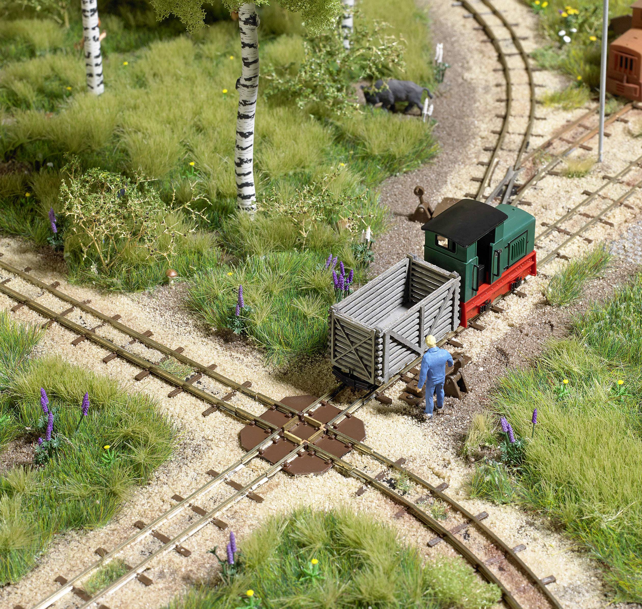Un modèle d'une scène ferroviaire montre une petite locomotive sur des rails, entourée d'herbe verte et de bouleaux. Une personne se tient à côté.