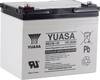 Batterie au plomb 12 V 36 Ah Yuasa REC36-12 plomb (AGM) (l x H x P) 196 x 169 x 130 mm raccord à vis M5 auto-décharge réduite, entretien faible, résistant aux cycles de charge