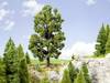 Arbre marronnier NOCH 0021802 185 mm 1 pc(s)
