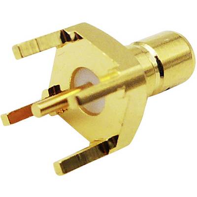 Un connecteur coaxial doré avec isolation blanche et trois contacts moulés, adapté aux applications électroniques.