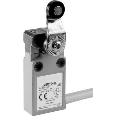 Un interrupteur avec mécanisme à levier. Le boîtier porte des spécifications techniques telles que la classe de protection IP67 et des détails électriques.
