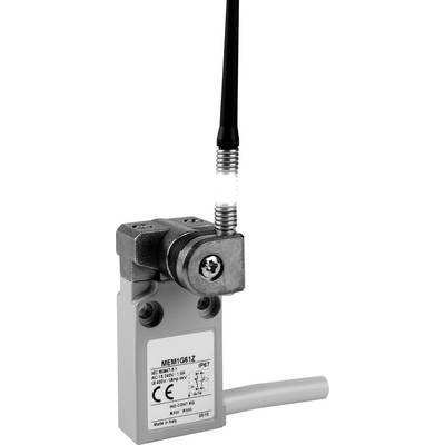 Un interrupteur avec levier et antenne, muni du marquage CE et de la classe de protection IP67.