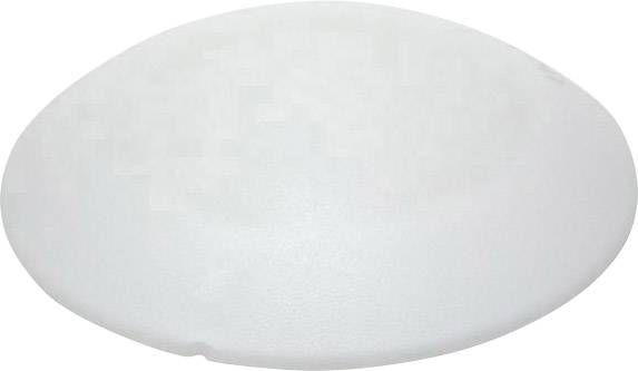 Un objet ovale blanc à la surface lisse, probablement une pierre ou une tablette, devant un fond neutre.