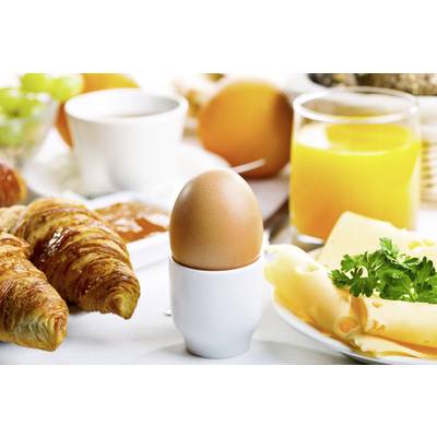 Cuiseur à œuf en acier inoxydable pour 6 œufs, Cuiseurs