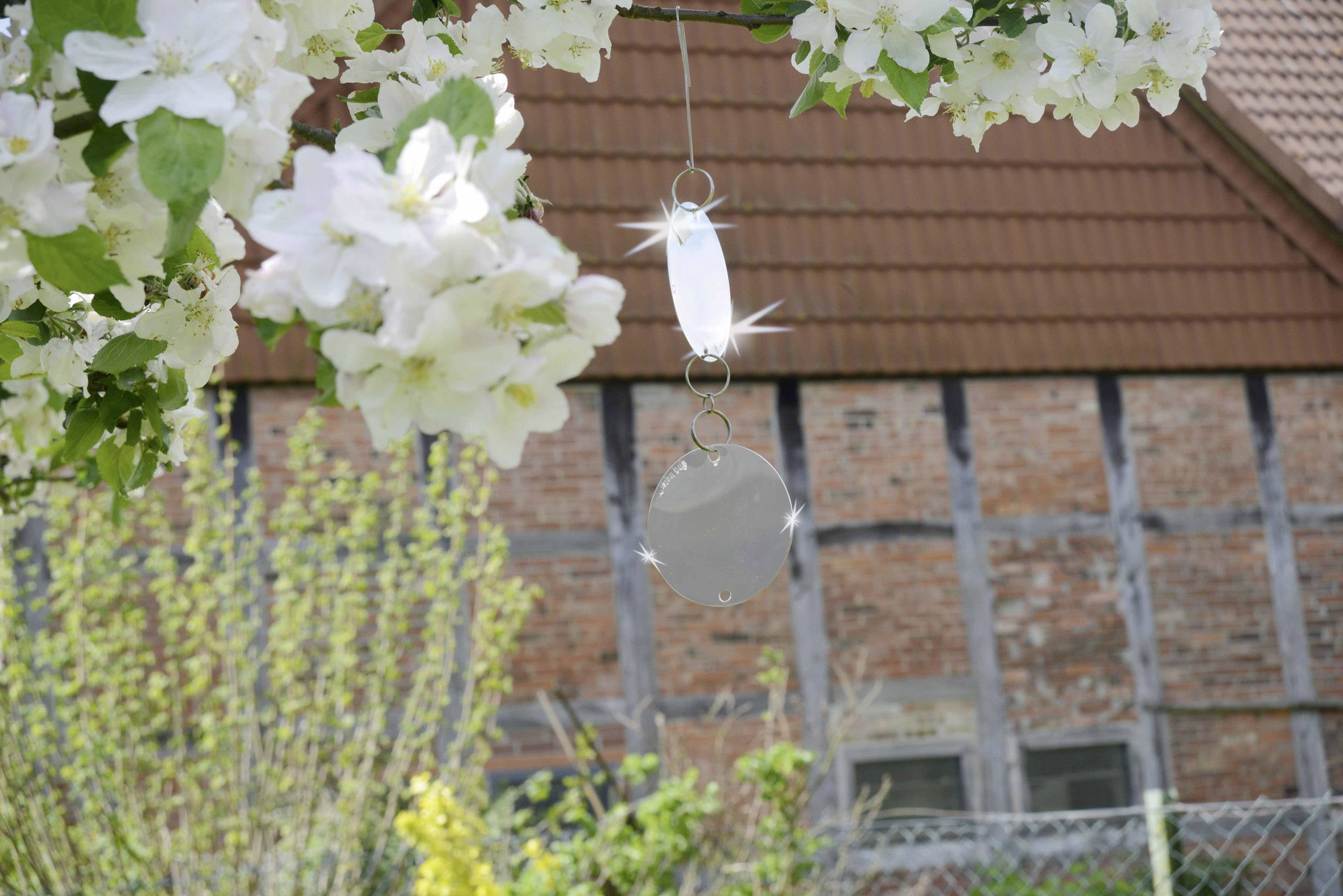 Un attrape-soleil est suspendu à un arbre fruitier en fleurs, scintillant à la lumière du soleil. En arrière-plan, un vieux bâtiment à colombages.