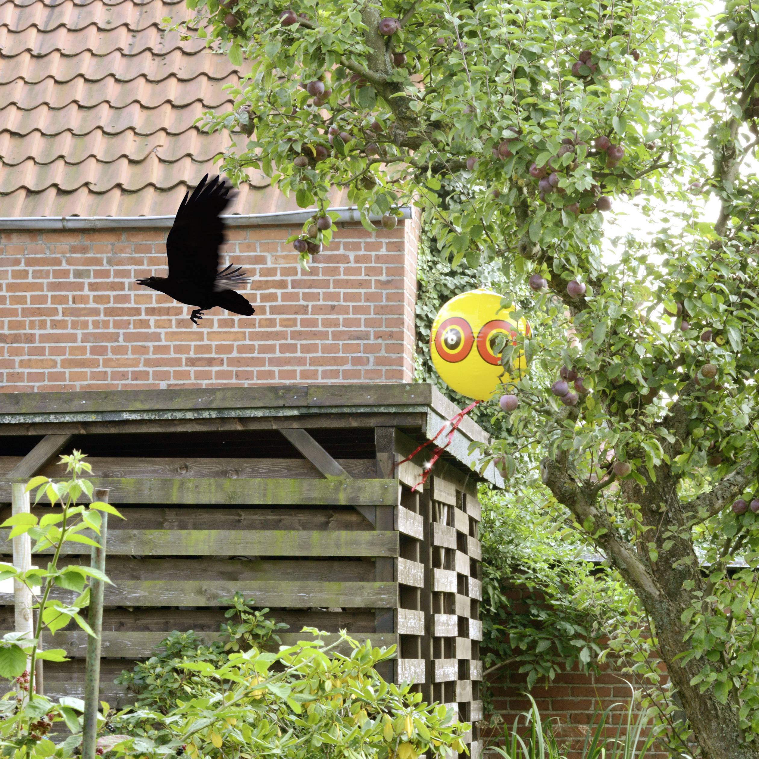 Repousseur d'oiseaux effet dissuasif Gardigo 60094OF pour l'extérieur-6