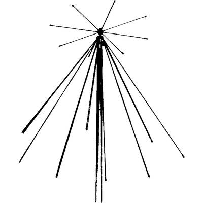 Œuvre d'art abstraite en noir et blanc avec des lignes symétriques émanant d'un point central, ressemblant à une forme d'explosion stylisée.