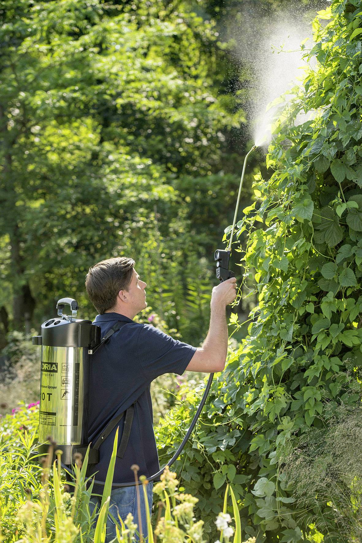 Une personne pulvérise un liquide sur un mur végétal haut et vert dans un jardin à l'aide d'un pulvérisateur portable.