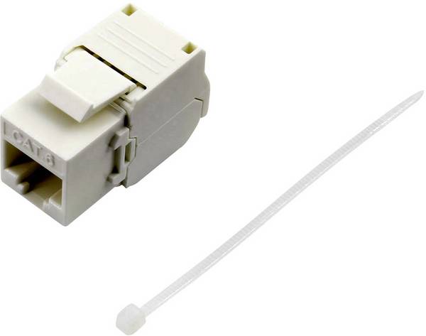 RJ45 femelle CAT 6 TRU COMPONENTS 93038C369 RJ45 femelle, droit blanc 1 pc(s)