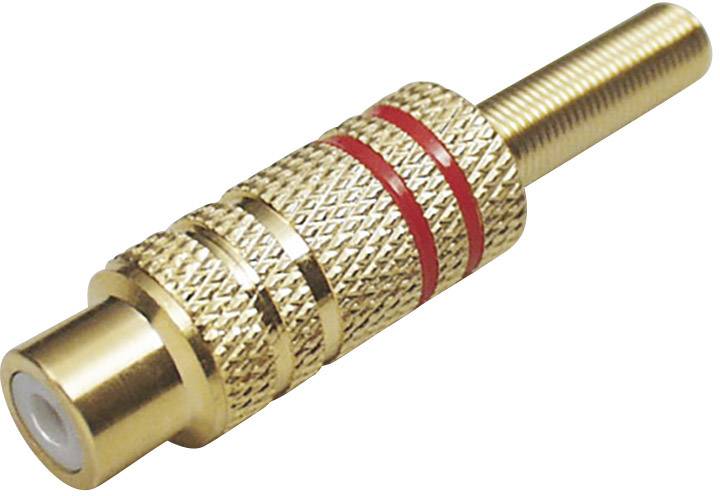 Un connecteur RCA doré avec bague rouge pour les connexions audio et vidéo.