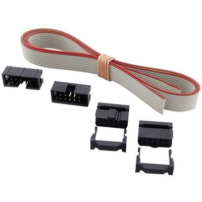 Un ensemble de connecteurs électroniques avec un câble plat gris rayé de rouge et plusieurs fiches en plastique noir.