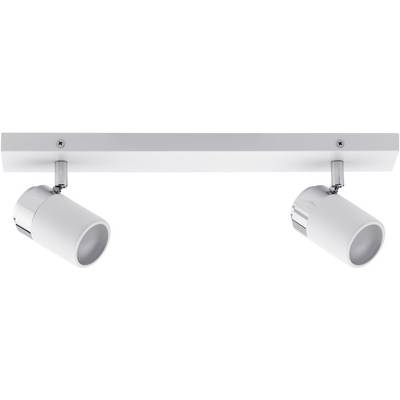 Deux spots de plafond blancs sur support rectangulaire, orientables de manière flexible. Design moderne, épuré et fonctionnel.