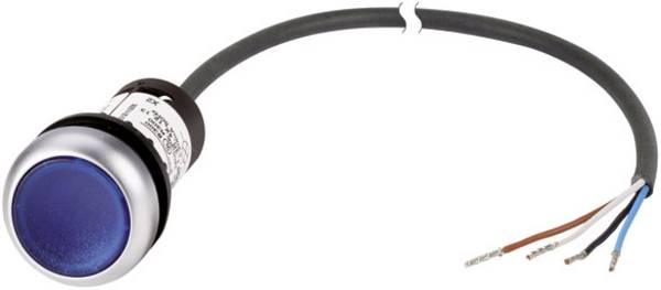 Bouton-poussoir plat Eaton C22-DL-B-K10-24-P62 185585 bouton bleu   1 pc(s)