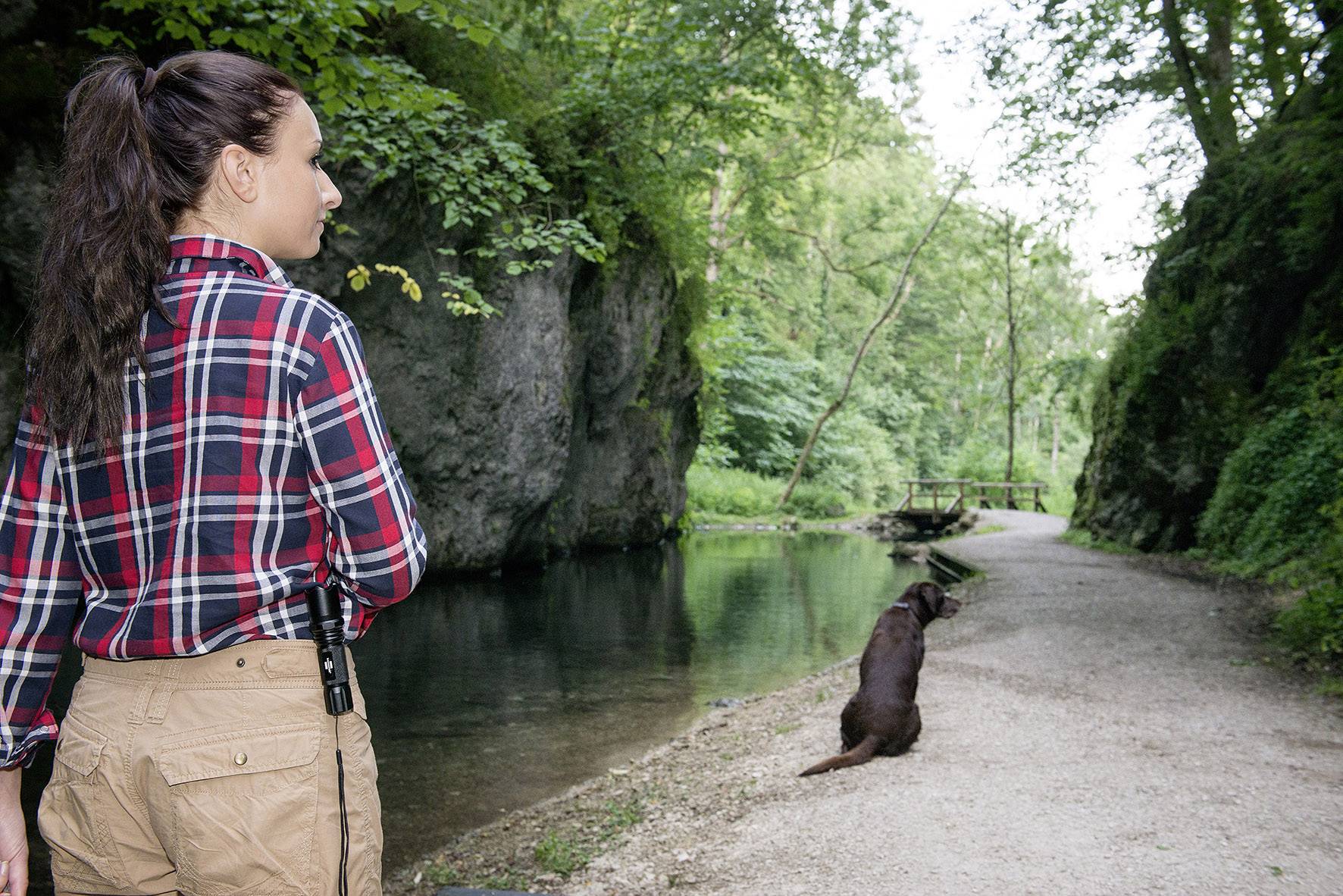 Lampe de poche Brennenstuhl LuxPremium TL 250F LED avec dragonne à pile(s) 250 lm 4 h 215 g-5