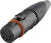 XLR femelle, droit Hicon HI-X5CF-HD-B Nombre de pôles: 5 noir, argent 1 pc(s)