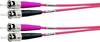 Telegärtner 100010741 fibre optique FO Câble de raccordement [1x ST mâle - 1x ST mâle] 50/125 µ Multimode OM2 2.00 m