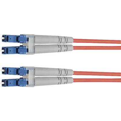 Deux câbles à fibre optique rouges avec des connecteurs bleus et gris.