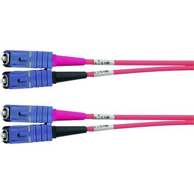 Deux connecteurs LC-Duplex bleus avec des câbles à fibres optiques roses, connectés et disposés les uns sur les autres, adaptés pour des transmissions de données à haute vitesse.