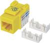 Intellinet 210584 Module RJ45 encastrable Keystone CAT 6