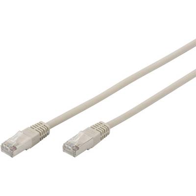 Câble Ethernet avec fiches beiges aux deux extrémités.