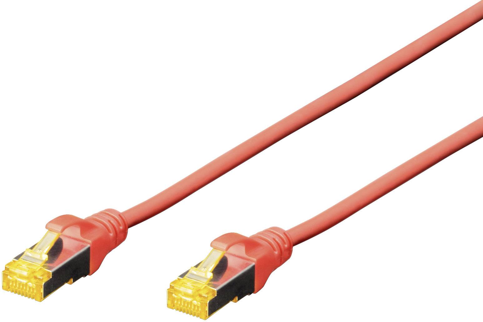 Un câble Ethernet rouge avec deux connecteurs RJ45, utilisé pour la connexion réseau.
