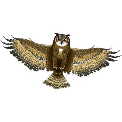 Une chouette aux ailes déployées plane dans les airs. Elle a un plumage brun et de grands yeux attentifs.