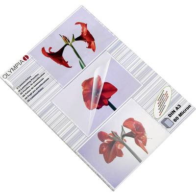 Illustration d'une fleur rouge à différentes étapes de lamination avec le texte 'Olympia' et des informations sur le produit en allemand.