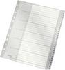 Leitz 1281 Répertoire DIN A4, extra-large 1-31 polypropylène gris 31 onglets 12810000