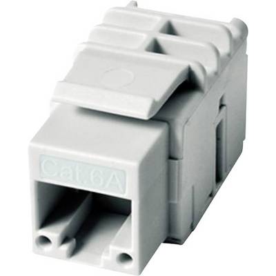 Un module réseau gris Cat.6A avec deux ouvertures pour fiches Ethernet, adapté aux transmissions de données à haute vitesse.