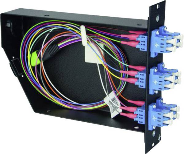 Telegärtner 100022398 Module fibre optique (FO) turquoise 1 pc(s)