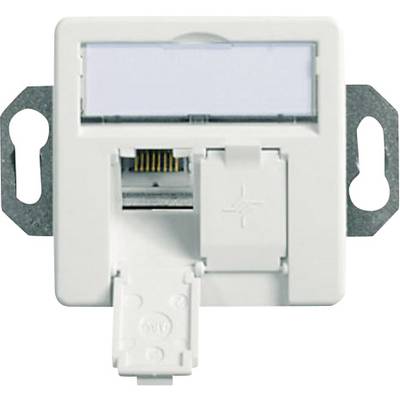 Prise réseau individuelle en blanc, montée sur plaque métallique, avec connexion ouverte pour câble réseau.