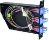 Telegärtner 100022406 Module fibre optique (FO) noir 1 pc(s)