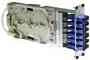 Telegärtner 100022606 Module fibre optique (FO) bleu 1 pc(s)