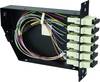 Telegärtner 100022392 Module fibre optique (FO) turquoise 1 pc(s)