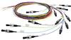 Telegärtner L00879A0009 fibre optique FO Câble de raccordement 2.00 m multicolore [1x LC mâle - 1x extrémité(s) ouverte(s)] 9/125 µ Singlemode OS2
