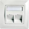 Telegärtner Prise réseau encastré, goulotte insert avec plaque centrale et châssis non équipé 2 ports