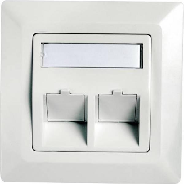 Telegärtner Prise réseau encastré, goulotte insert avec plaque centrale et châssis non équipé 2 ports