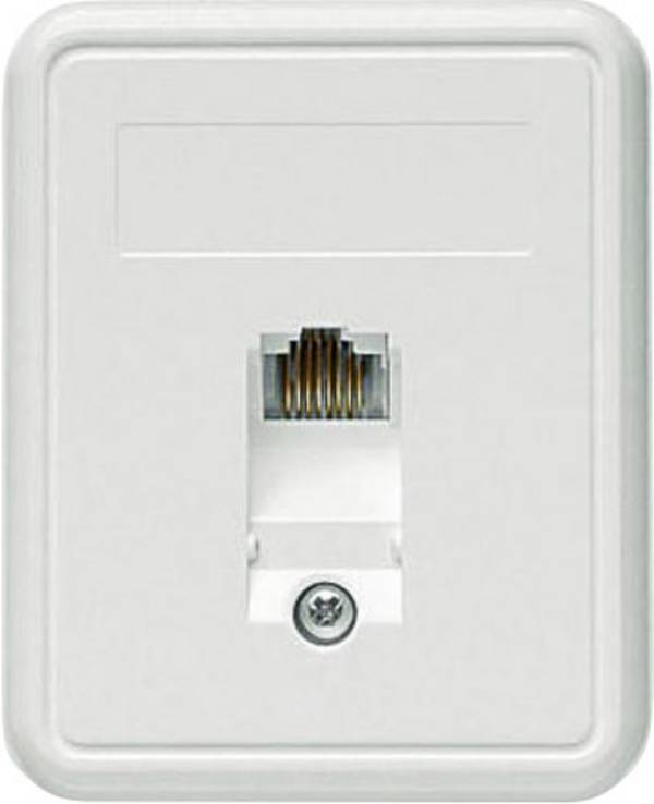 Telegärtner Prise réseau montage apparent (en saillie) CAT 5e 1 port blanc-alpin
